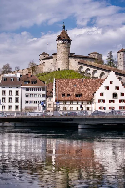 Uma Vertical Fortaleza Munot Cercada Por Vinhas Schaffhausen Suíça Refletindo — Fotografia de Stock