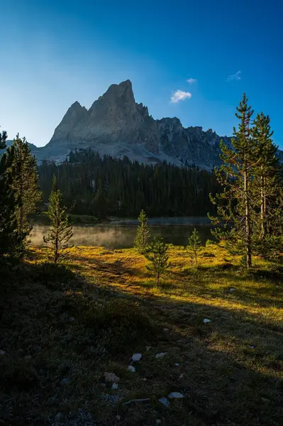 Eine Vertikale Aufnahme Eines Schönen Waldes Der Nähe Der Berge — Stockfoto