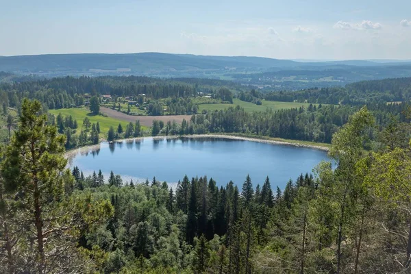 Plan Étonnant Lac Entouré Pinèdes Verdure — Photo