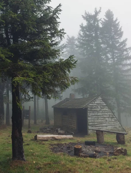 在多雾的天气里森林里一座旧木屋的垂直拍 — 图库照片