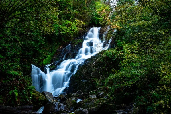 水に絹のような効果を持つ厚い葉に囲まれた滝の景勝地 — ストック写真