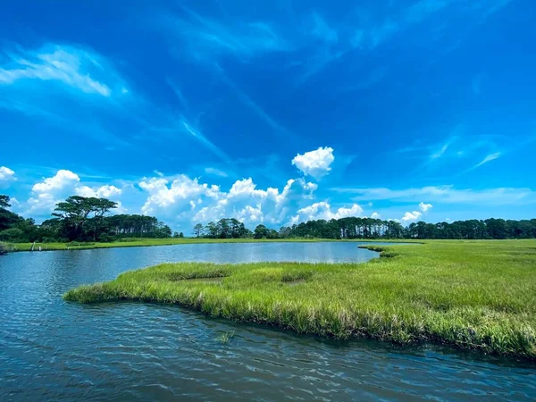 Krásný Záběr Zelené Travnaté Mýtiny Jezera Modrou Oblohou Stromy Pozadí — Stock fotografie