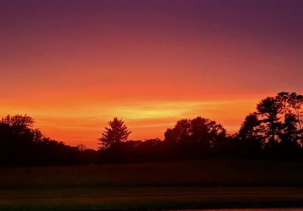 Ein Panoramablick Auf Einen Rosafarbenen Sonnenuntergang Mit Silhouetten Nackter Bäume — Stockfoto