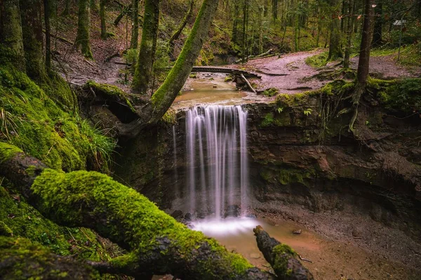 Naturskön Bild Ett Litet Vattenfall Mitt Skog — Stockfoto