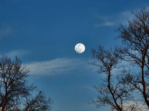 실루엣 하늘의 보름달 — 스톡 사진