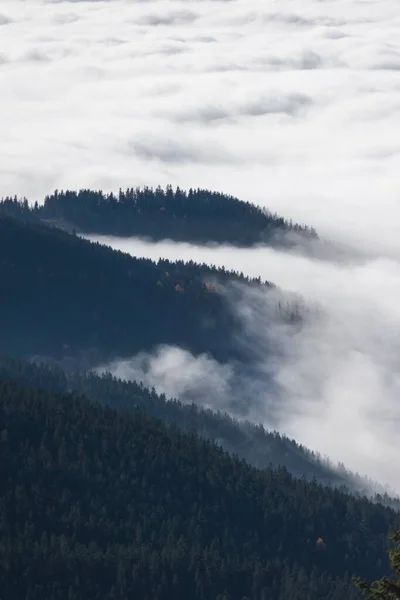 Plano Vertical Exuberantes Bosques Sobre Montañas Envueltas Nubes Una Zona —  Fotos de Stock