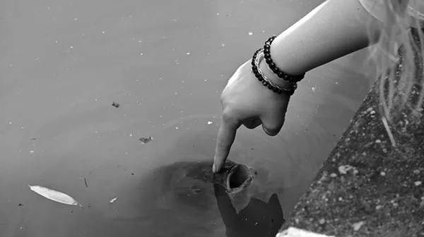Bir Kadının Parmağıyla Yüzeyine Dokunduğu Yakın Plan Gri Ölçekli Bir — Stok fotoğraf