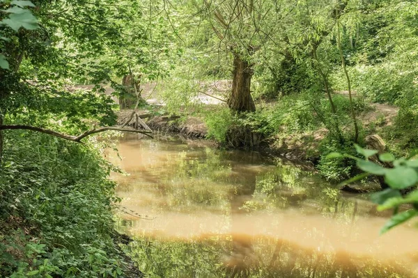 Nantwich Mill Island Woodland Strumieniem River Weaver Cheshire Wielka Brytania — Zdjęcie stockowe