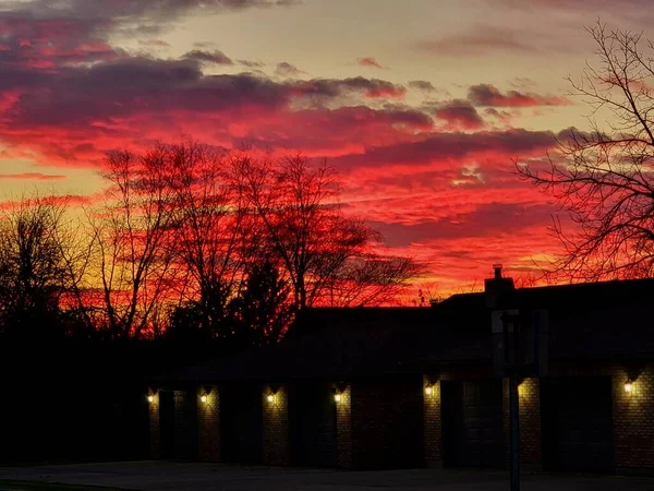 Una Vista Panorámica Una Puesta Sol Rosa Con Siluetas Árboles — Foto de Stock