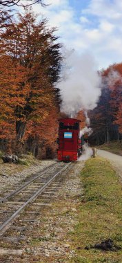 Renkli sonbahar ağaçlarından geçen kırmızı trenin dikey görüntüsü.