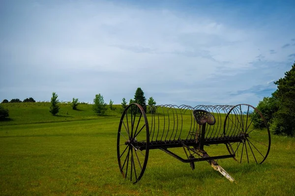 Râteau Cheval Dans Une Prairie Verte Par Une Journée Ensoleillée — Photo