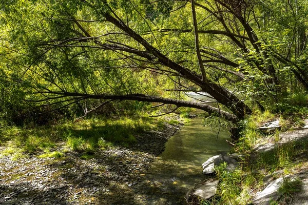 Malý Vodní Potok Protékající Lesem Pod Jasným Slunečním Světlem — Stock fotografie