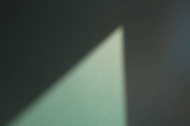 Yeşil duvarda bir gölge - arka plan için mükemmel