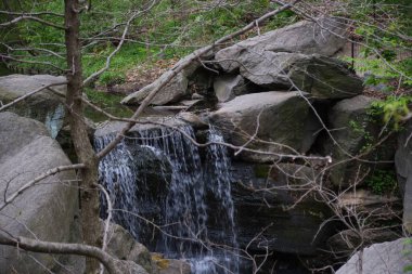 Bir dere manzarası ve ağaçlı bir ormanda kayalar.