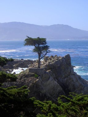 Almanya 'nın Usedom kentindeki güneşli bir sahilden Baltık Denizi