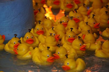 Çubuk kraker festivalinde bir sürü oyuncak ördekle ördek avlama oyununun yakın plan çekimi.
