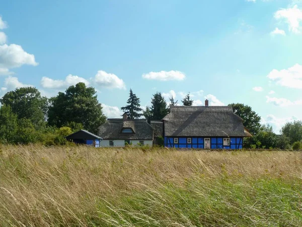 Två Hus Omgivna Träd Usedom Tyskland — Stockfoto