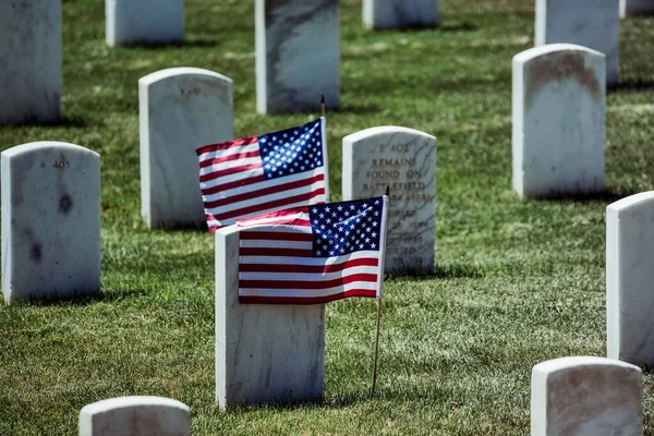 American Flags National Cemetery — Stock Photo, Image