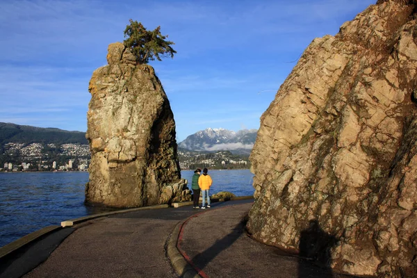 Egy Tengeri Fal Stanley Parkban Egy Téli Napon Vancouverben Brit — Stock Fotó