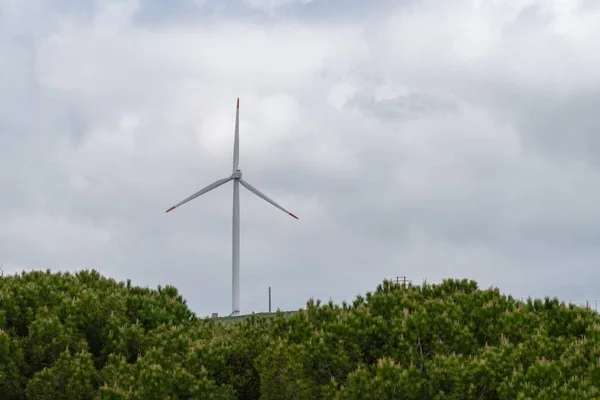 Rural Field Wind Turbine — Stock Photo, Image
