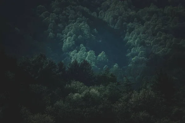 Uma Vista Panorâmica Das Florestas Montanha Com Densas Árvores Verdes — Fotografia de Stock