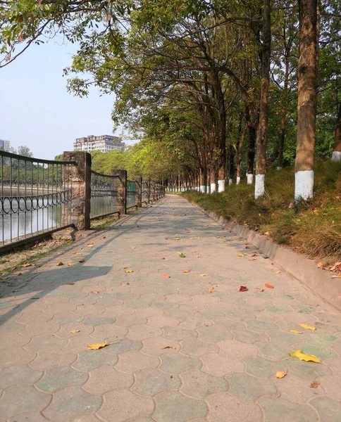 Vertical Shot Path Park Lakeshore — Stock Photo, Image