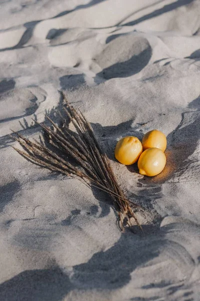 砂の上にレモンと木の枝が置かれた装飾的なイメージの垂直ショット — ストック写真