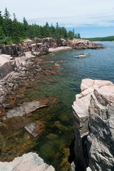 Colpo Verticale Della Sponda Rocciosa Del Parco Nazionale Dell Acadia — Foto Stock