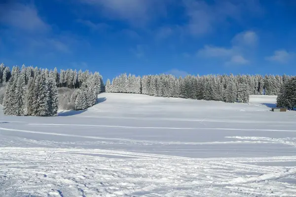 一张雪山的美丽照片 背景是一片白色的森林 — 图库照片