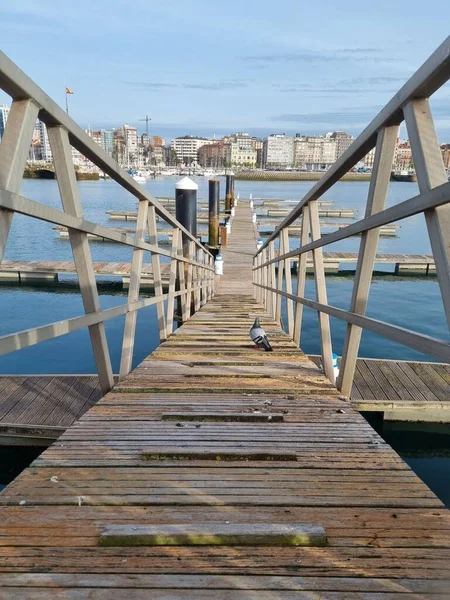 桥位于城市背景中的一座横跨大海的木桥 — 图库照片