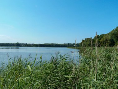 Almanya 'nın Usedom kentindeki bir nehri çevreleyen bir çayır.