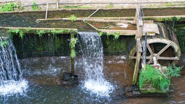 Güneşli bir bahçede ahşaptan yapılmış eski bir yosunlu su çarkı.