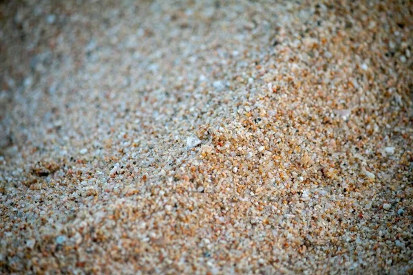 Sand Grains Beach Barcelona Spain — Stock Photo, Image