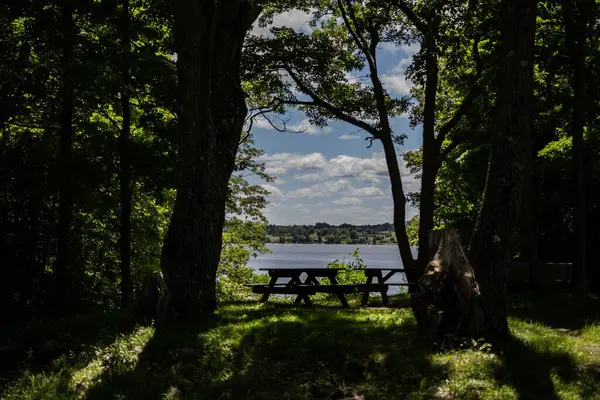 Mesa Madeira Para Piquenique Com Vista Para Lago Floresta — Fotografia de Stock