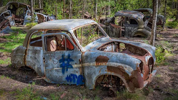 Ein Autofriedhof Liegt Einem Wald — Stockfoto