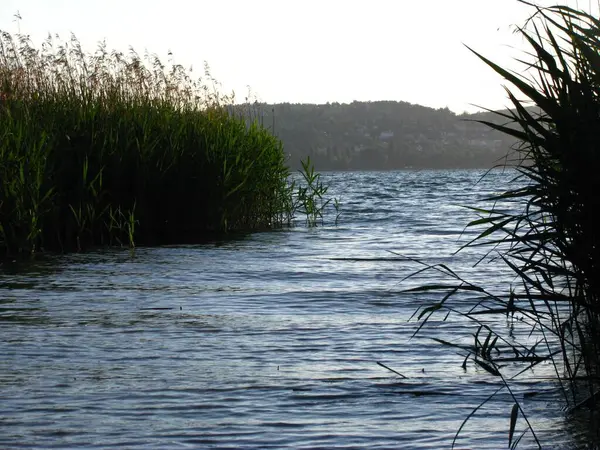 Een Prachtige Opname Van Een Meer Omringd Door Gras — Stockfoto