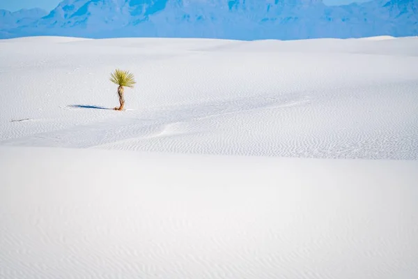 Ένα Όμορφο Τοπίο Λευκής Άμμου Κάτω Από Φως Του Ήλιου — Φωτογραφία Αρχείου
