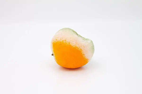 Uma Laranja Podre Isolada Fundo Branco — Fotografia de Stock