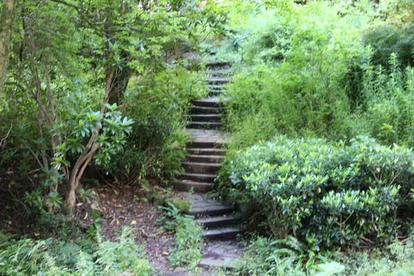 Eine Steintreppe Inmitten Des Üppigen Grases Park — Stockfoto