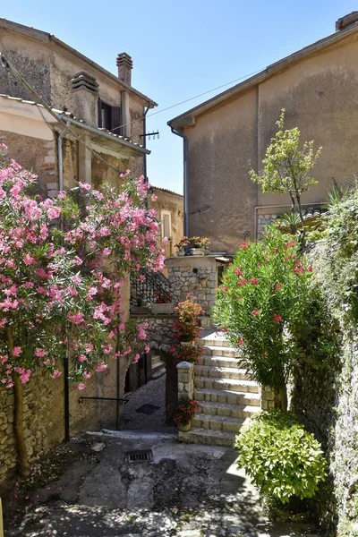 Uma Rua Estreita Cercada Por Edifícios Pedregosos Aldeia San Donato — Fotografia de Stock