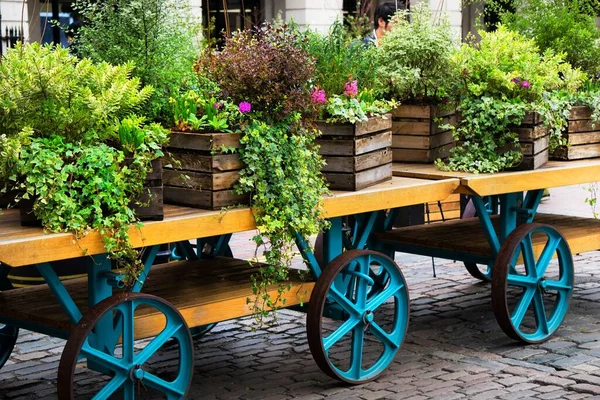 Various Photos Carts Flowers Greenery Covent Gardens London England — Stock Photo, Image