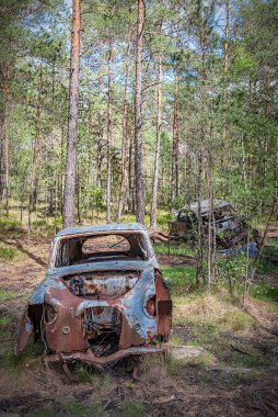 Ormanda bir araba mezarlığı vardır.