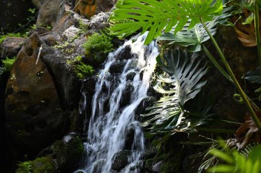 Yeşil ağaçlı güzel bir şelale görüntüsü