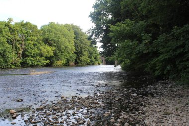 Taşlı ve ağaçlarla çevrili bir nehir manzarası.