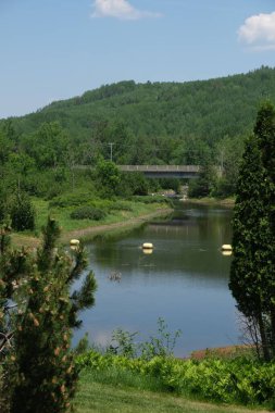 Mavi gökyüzünün altındaki ağaçlarla yeşil tepelerin altında parlayan gölün dikey görüntüsü.