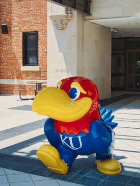 Lawrence, Kansas - 10 Temmuz 2022 - Mavi, Kırmızı, Sarı Jayhawk - NCAA Dünya Basketbol Takımı