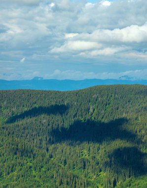 Ormanın üzerindeki bulutların gölgesiyle bir tepenin üzerinde doğa,