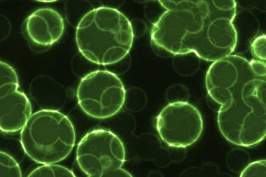 Parlak bir hücre yeşil floresan. Mikroskop altındaki hücreler yeşil