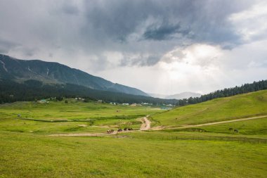 Gulmarg, Hindistan 'ın Jammu ve Kashmir eyaletlerinde yer alan Gulmarg' ın panoramik çekimi ile dünyanın en iyi kayak arazilerinden biridir..