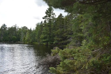 Parc ekoforestier de Johnville, Estrie, Quebec, Kanada 'da göl manzarası